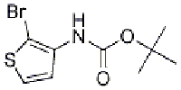 MC96657 tert-Butyl (2-bromothiophen-3-yl)carbamate 21483-64-7 (2-溴噻吩-3-基)氨基甲酸叔丁酯