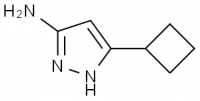 MC98526 3-Amino-5-Cyclobutyl-1H-Pyrazole 326827-21-8 5-环丁基-吡唑-3-胺