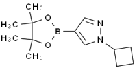 MC90074 1-Cyclobutyl-4-(4,4,5,5-Tetramethyl-1,3,2-Dioxaborolan-2-yl)-1H-Pyrazole 1002309-48-9 N-环丙基-吡唑-4-频哪醇二硼酸酯