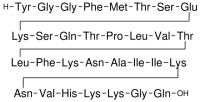 MC50575  β－内啡肽,鼠  [77367-63-6]