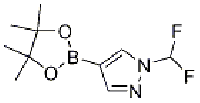 MC91025 1-(difluoromethyl)-4-(4,4,5,5-tetramethyl-1,3,2-dioxaborolan-2-yl)-1H-pyrazole 1093307-35-7 1-(DIFLUOROMETHYL)-4-(4,4,5,5-TETRAMETHYL-1,3,2-DIOXABOROLAN-2-YL)-1H-PYRAZOLE