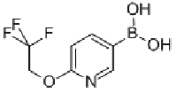 MC96110 [6-(2,2,2-TRIFLUOROETHOXY)PYRIDIN-3-YL]BORONIC ACID 196083-20-2 [6-(2,2,2-TRIFLUOROETHOXY)PYRIDIN-3-YL]BORONIC ACID
