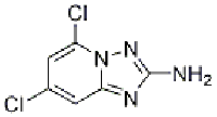 MC79743 5,7-Dichloro-[1,2,4]triazolo[1,5-a]pyridin-2-aMine 1124383-04-5 5,7-Dichloro-[1,2,4]triazolo[1,5-a]pyridin-2-aMine