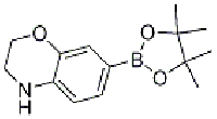 MC93441 2H-1,4-Benzoxazine, 3,4-dihydro-7-(4,4,5,5-tetraMethyl-1,3,2-dioxaborolan-2-yl)- 1361110-64-6 2H-1,4-苯并异噁嗪, 3,4-二氢-7-(4,4,5,5-四甲基-1,3,2-二氧杂环己硼烷-2-基)-
