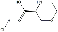 MC91766 (S)-Morpholine-3-carboxylic acid HCl 1187929-04-9 (S)-3-吗啉基羧酸