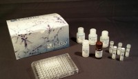 Mouse/Human/Rat Substance K / Neurokinin A ELISA Kit (Competitive EIA) - MX-F414