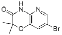 MC78143 7-BROMO-2,2-DIMETHYL-2H-PYRIDO[3,2-B][1,4]OXAZIN-3(4H)-ONE 894852-01-8 7-溴-2,2-二甲基-2H-吡啶并[3,2-B]-1,4-恶嗪-3(4H)-酮
