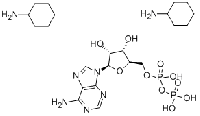 MC90335 ADENOSINE 5'-DIPHOSPHATE DI(MONOCYCLOHEXYLAMMONIUM) SALT 102029-87-8 腺苷-5'-二磷酸双环己铵盐