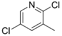 MC66741 2,5-Dichloro-3-Picoline 59782-88-6 2,5-二氯-3-甲基吡啶