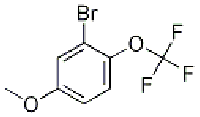 MC90644 3-bromo-4-trifluoromethoxyanisole 1049730-91-7 3-溴-4-三氟甲氧基苯甲醚