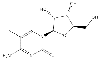 MC96630 5-Methylcytidine 2140-61-6 5-甲基胞苷