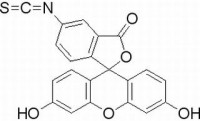 MC19127  异硫氰酸荧光素  [3326-32-7]