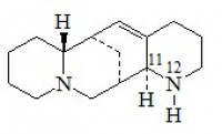 MC26744  苦豆碱  [56293-29-9]