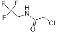 MC95145 2-chloro-N-(2,2,2-trifluoroethyl)acetamide 170655-44-4 2-氯-N-(2,2,2-三氟乙基)乙酰胺