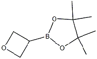 MC93694 4,4,5,5-TetraMethyl-2-(oxetan-3-yl)-1,3,2-dioxaborolane 1396215-84-1 4,4,5,5-TetraMethyl-2-(oxetan-3-yl)-1,3,2-dioxaborolane