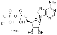MC50115  腺苷-5'-二磷酸单钾盐二水合物  [72696-48-1]