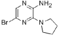 MC78110 2-AMINO-5-BROMO-3-PYRROLIDIN-1-YLPYRAZINE 893611-72-8 2-氨基-5-溴-3-吡咯烷基吡嗪