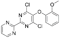 MC61913 4,6-Dichloro-5-(2-Methoxyphenoxy)-2,2-Bipyrimidine 150728-13-5 4,6-二氯-5-(2-甲氧基苯氧基)-2,2-二嘧啶