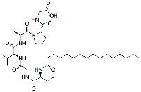 MC95171 Glycine, N-(1-oxohexadecyl)-L-valylglycyl-L-valyl-L-alanyl-L-prolyl- 171263-26-6 脂肽