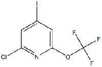 MC92300 2-Chloro-4-iodo-6-(trifluoroMethoxy)pyridine 1221171-96-5 2-氯-4-碘-6-三氟甲氧基吡啶
