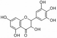 MC24435  二氢杨梅素  [27200-12-0]  
