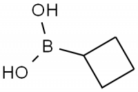 MC77019 Cyclobutylboronic Acid 849052-26-2 环丁基硼酸