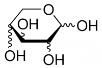 MC45224  DL-木糖  [25990-60-7]