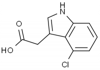 MC97387 4-Chloroindole-3-Acetic Acid 2519-61-1 4-氯吲哚-3-乙酸