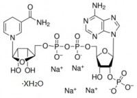 MC10103   还原辅酶Ⅱ四钠盐  [2646-71-1]  