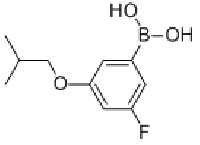 MC77074 3-FLUORO-5-(ISOBUTOXY)BENZENEBORONIC ACID 850589-57-0 3-氟-5-异丁氧基苯硼酸