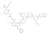 MC81034 Neurokinin A 86933-74-6 神经激肽A