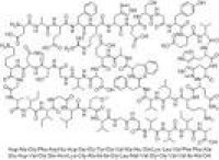 MC40691  β-淀粉样多肽 1-42  [107761-42-2]