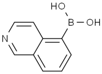 MC99350 Isoquinolin-5-Ylboronic Acid Hydrochloride 371766-08-4 Isoquinolin-5-Ylboronic Acid Hydrochloride