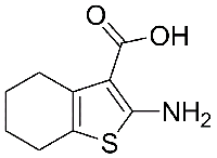 MC66708 2-Amino-4,5,6,7-Tetrahydrobenzo[b]Thiophene-3-Carboxylic Acid 5936-58-3 2-氨基-4,5,6,7-四氢苯并[b]噻吩-3-羧酸