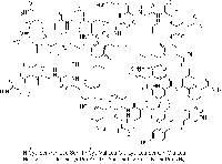 MC47483  Salmon Calcitonin Acetate  [47931-85-1]