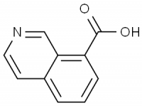 MC74371 Isoquinoline-8-carboxylic acid 61563-43-7 8-异喹啉甲酸