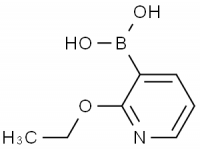 MC77158 2-Ethoxypyridine-3-Boronic Acid 854373-97-0 2-乙氧基吡啶-3-硼酸