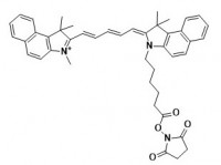 MC27624  Cy5.5 NHS ester (non-sulfonated)  