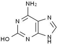 MC98716 6-Amino-1,3-Dihydro-2H-Purin-2-One 3373-53-3 异鸟嘌呤