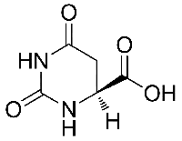 MC66755 L-Dihydroorotic Acid 5988-19-2 L-氢化乳清酸