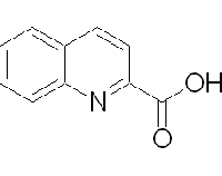 MC51921  喹哪啶酸  [93-10-7]