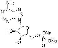 MC61842 Adenosine-5-Monophosphate Disodium Salt 149022-20-8 AMP钠盐