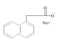 MC49012  1-萘乙酸钠  [61-31-4]