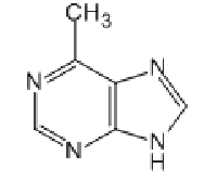 MC96251 6-Methylpurine 2004-03-7 6-甲基嘌呤