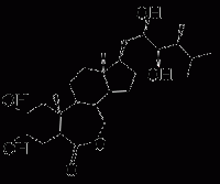 MCB131571   芸苔素内酯  [72962-43-7]  [78821-43-9]
