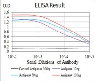 SLINGSHOT-1L Primary Antibody MP30742 [M6C11G9]