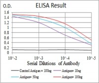 SLINGSHOT-1L Primary Antibody MP30743 [M1A5C8]