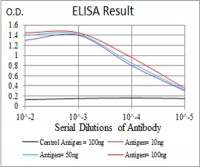 MDM2 Primary Antibody MP30750 [M6B12D2]