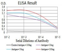SK2 Primary Antibody MP30888 [M9C5E1]