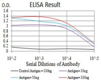 HIST2H4A(20Me3) Primary Antibody MP30889 [M7A2A7]